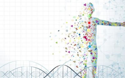 Leider zijn zit in je DNA